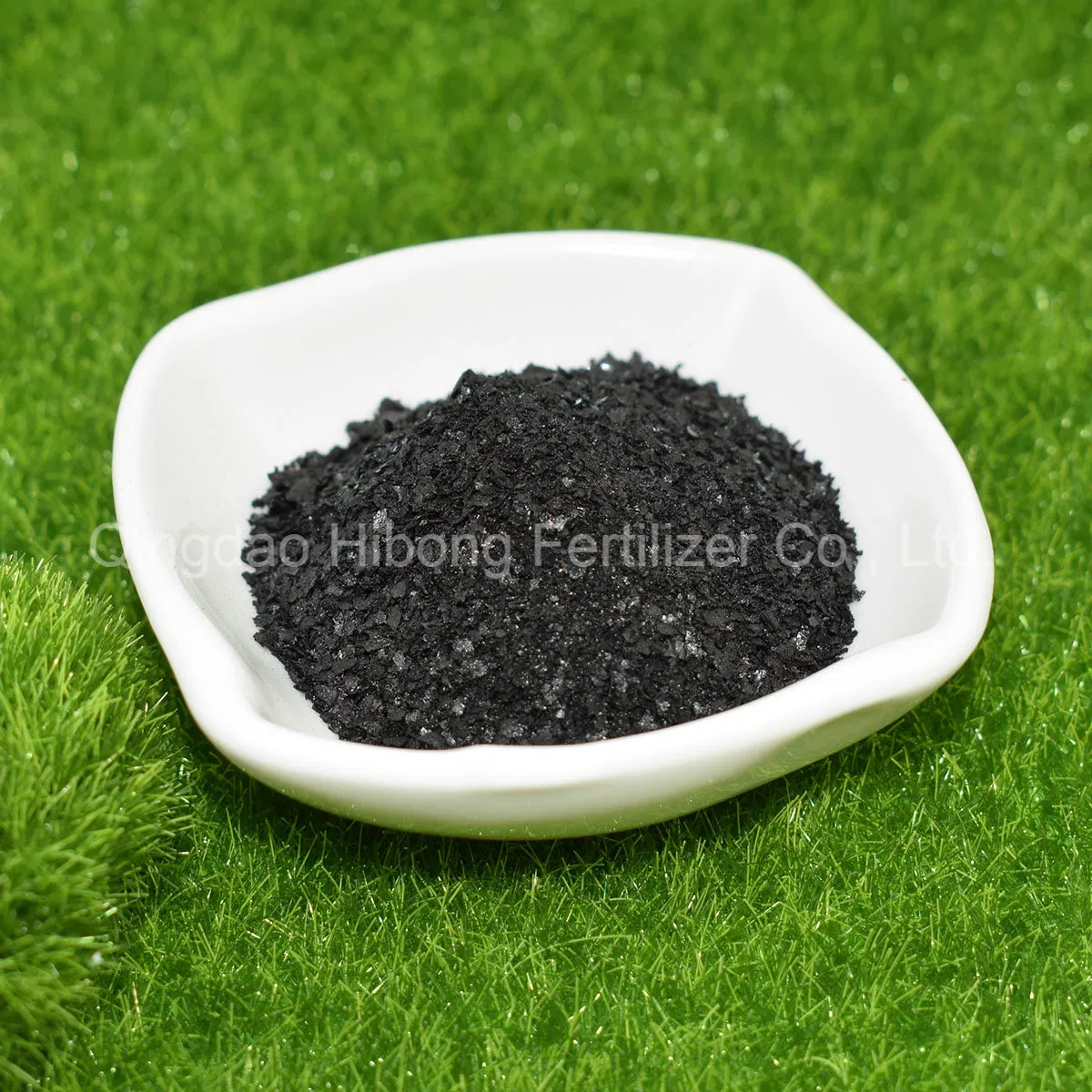 Hot Sales Natural High Quality Seaweed Extract From Kelp Seaweed